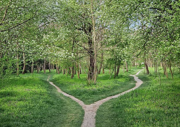 Chemin traversant la nature, symbole du parcours vers le mieux-être des adultes accompagnés en kinésiologie